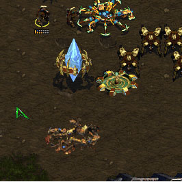 Cobra, after the attack