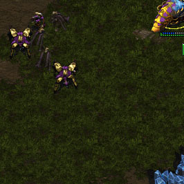 Pacey's secret weapon...