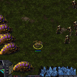 Pacey's reaver phalanx